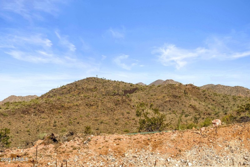 14-web-or-mls-9805-talon-trail