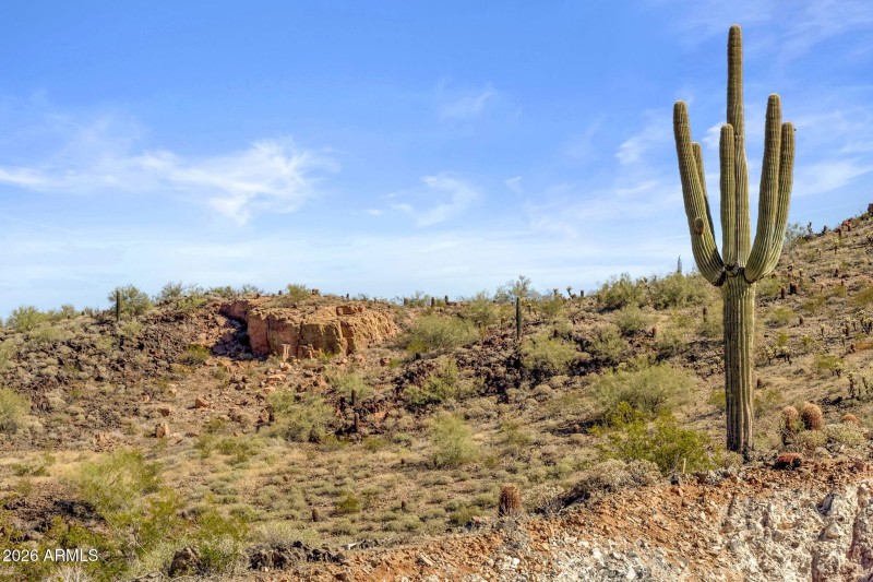 19-web-or-mls-9805-talon-trail