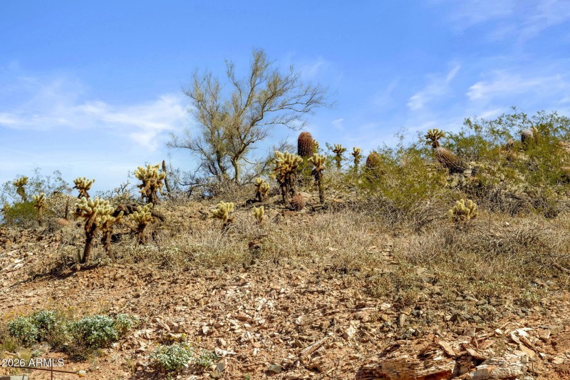 53-web-or-mls-9805-talon-trail