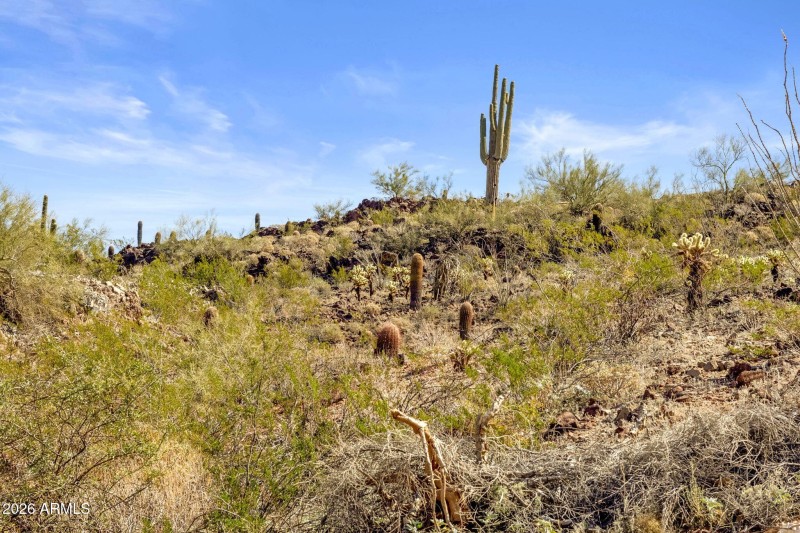 54-web-or-mls-9805-talon-trail