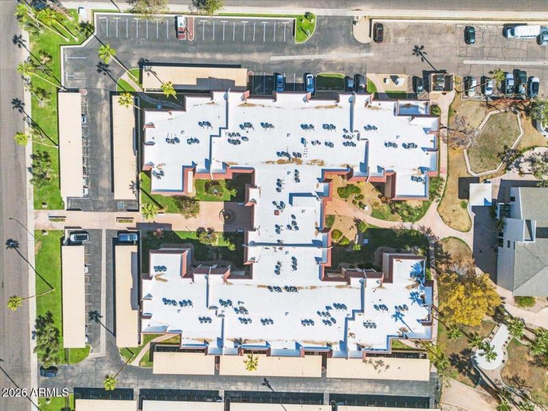 OLIVE GROVE VILLAGE ROOFTOP VIEW