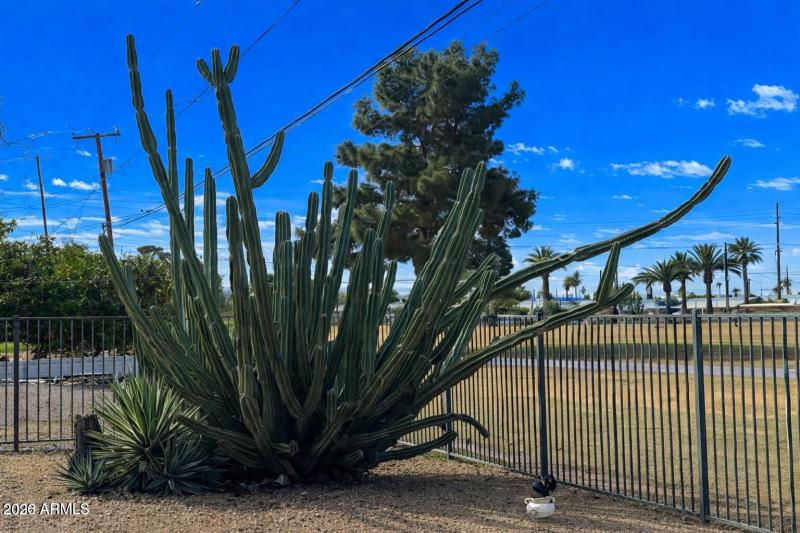 0d45dad6-bbb1-497f-804a-e7cdf743e206