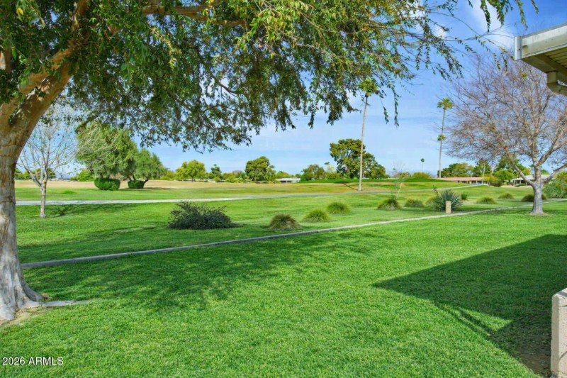 slightly greener law