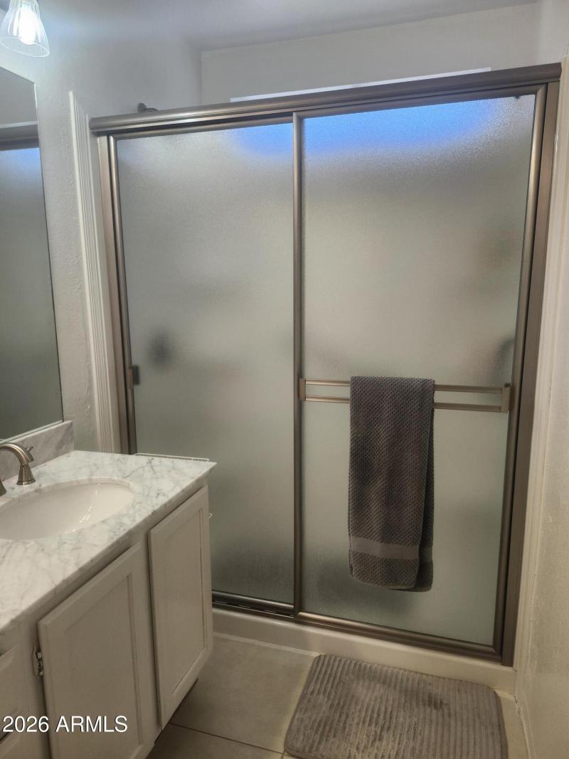 Primary Walk-in Shower