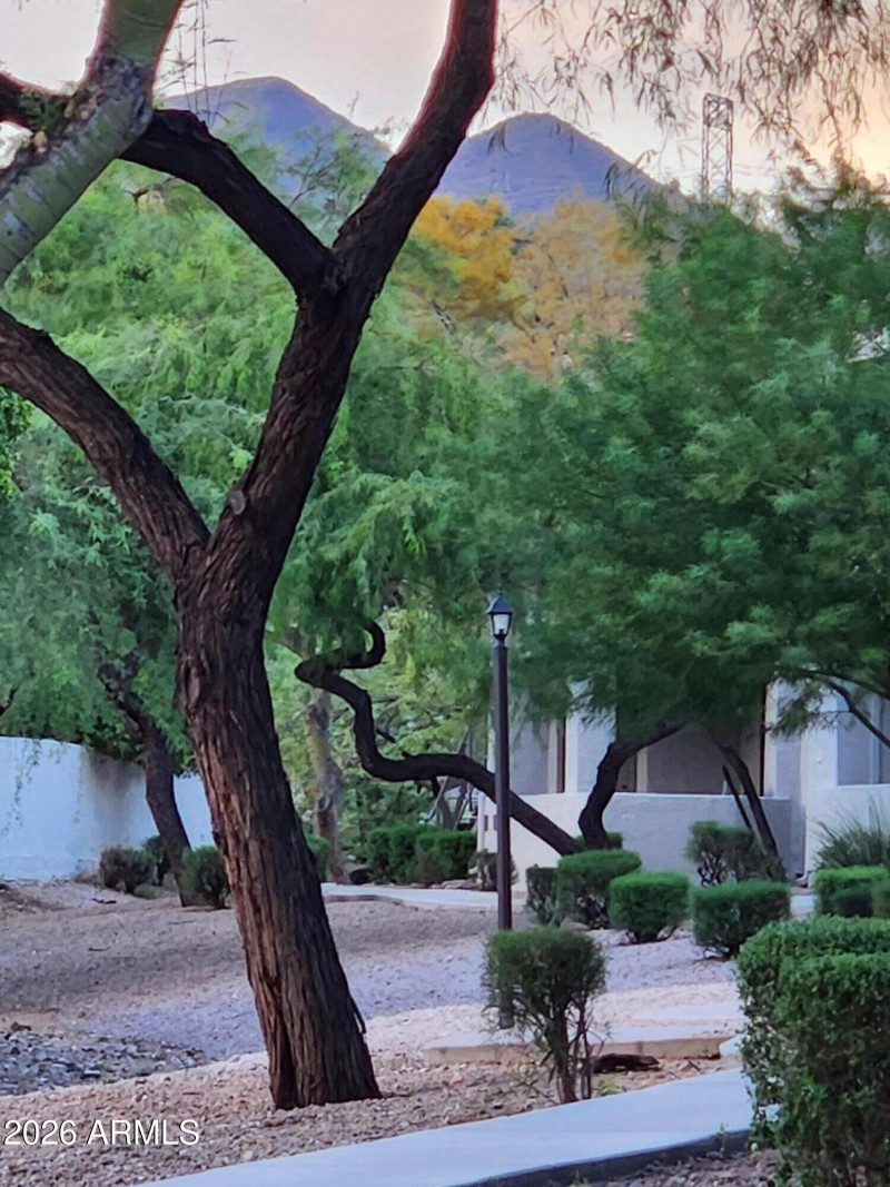 Grounds