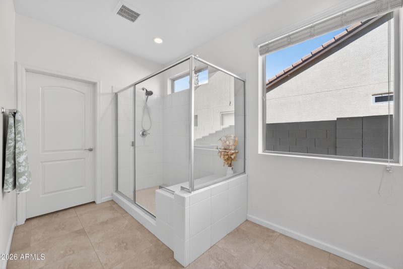 Primary Shower