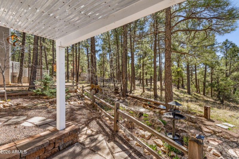 Back Patio
