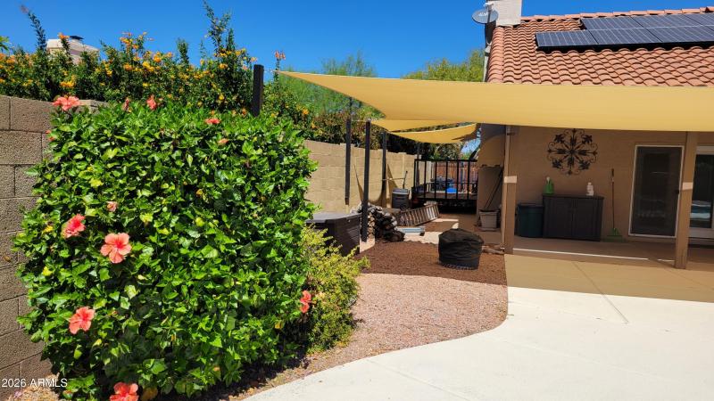 25 - Side Yard1