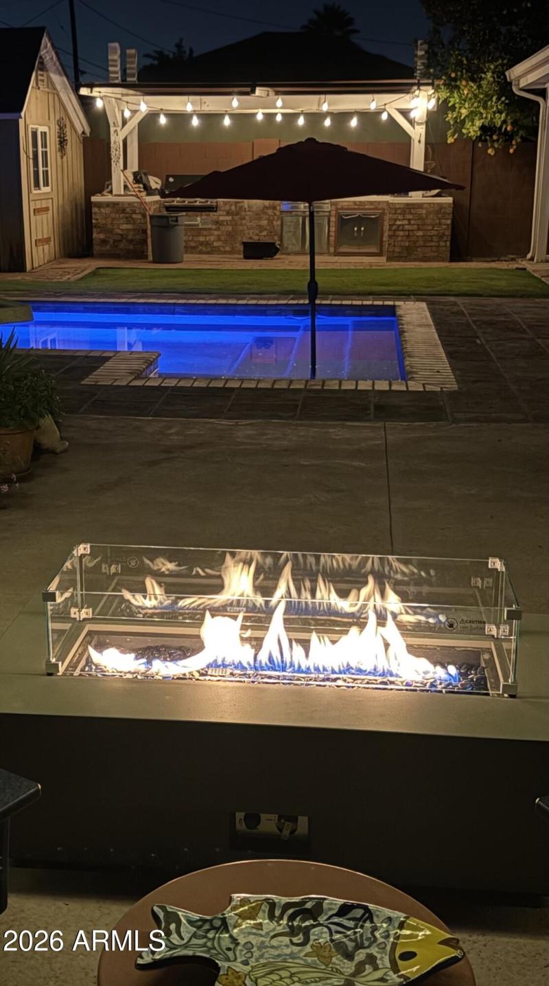 back yard