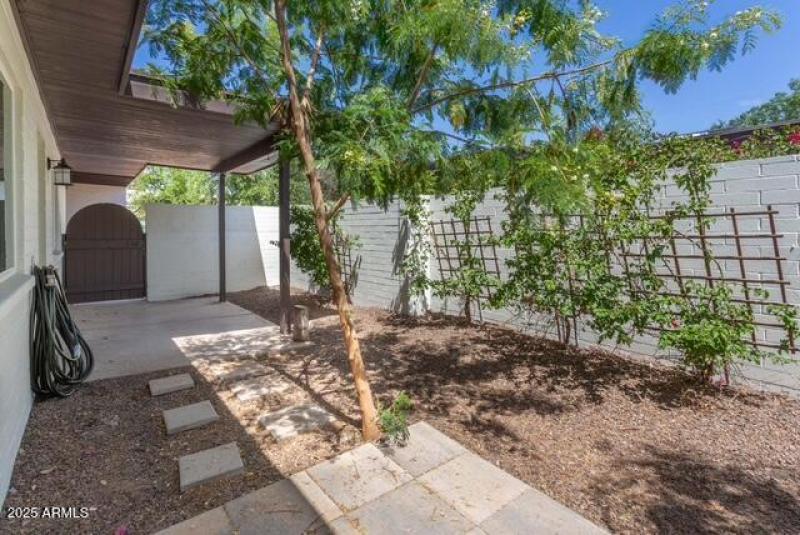 patio-03