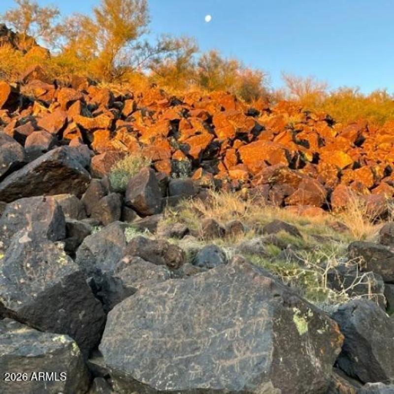 Deer Valley Petroglyph