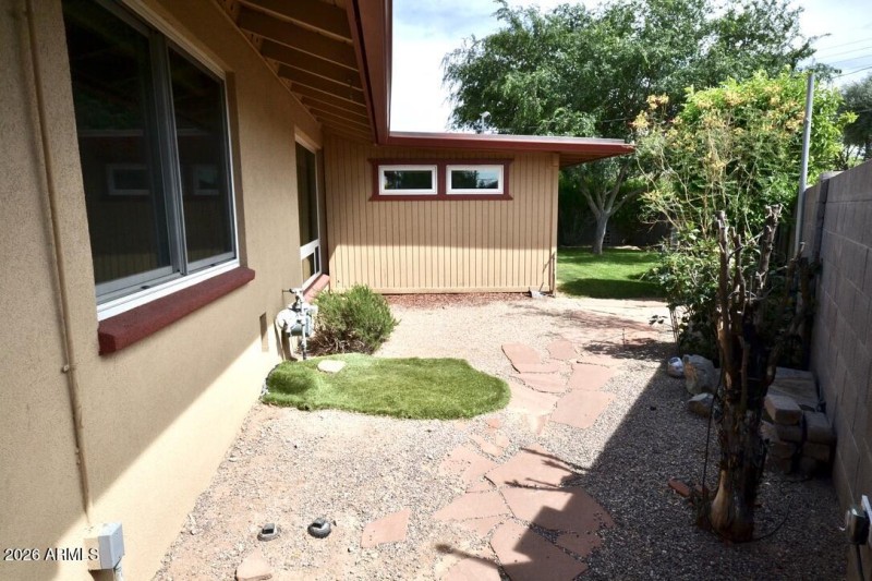 Backyard