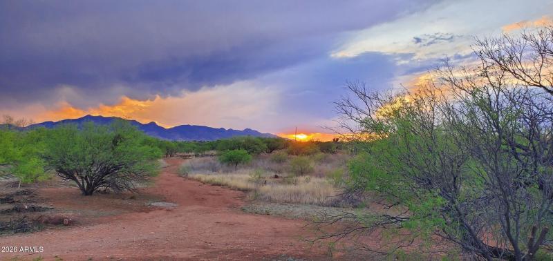Sunset View