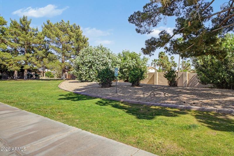 Nature just across the street