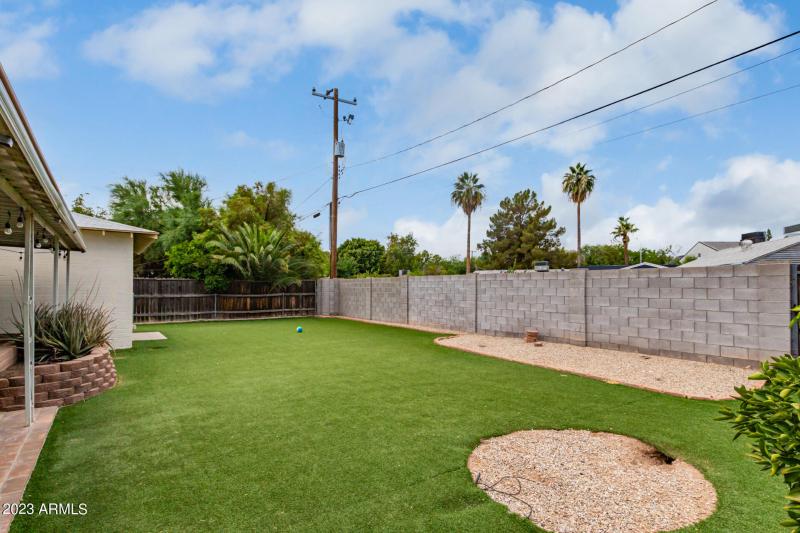 Backyard