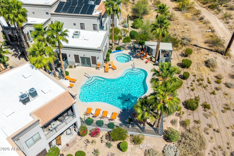 5 - Saguaro Drone