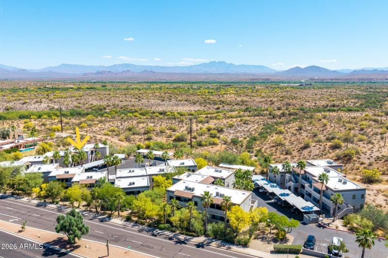 2 - Saguaro Drone with arrow