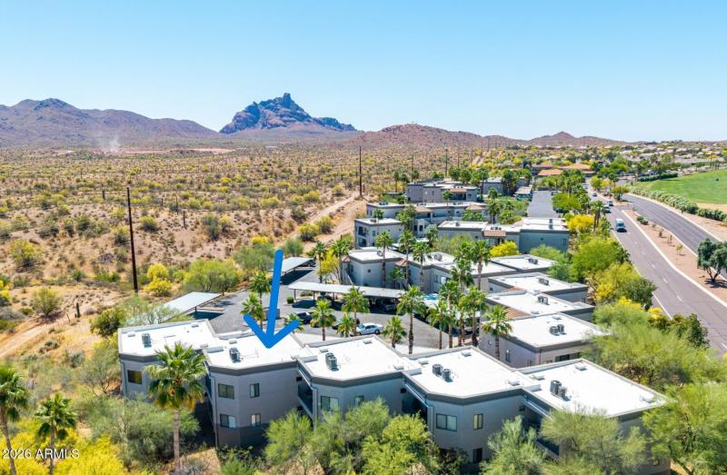 10 - Saguaro Drone cropped