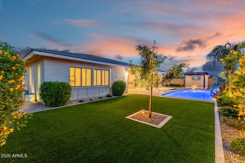 turf yard