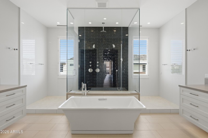 Primary Shower