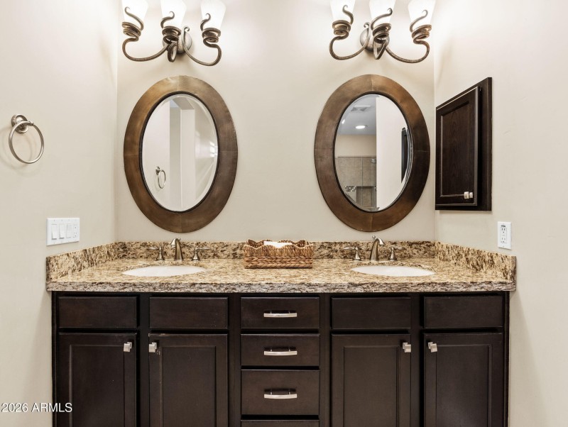 Primary Bathroom Sinks
