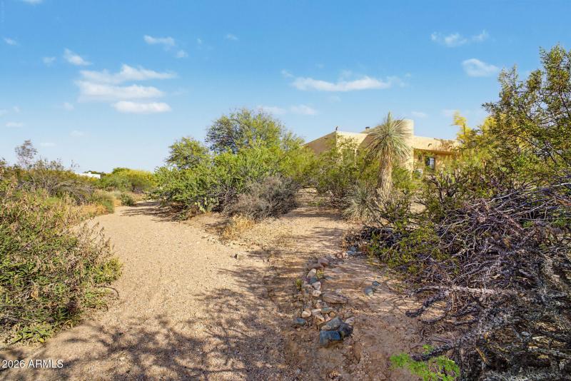 03-Primrose