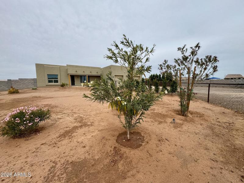 Front Landscaping