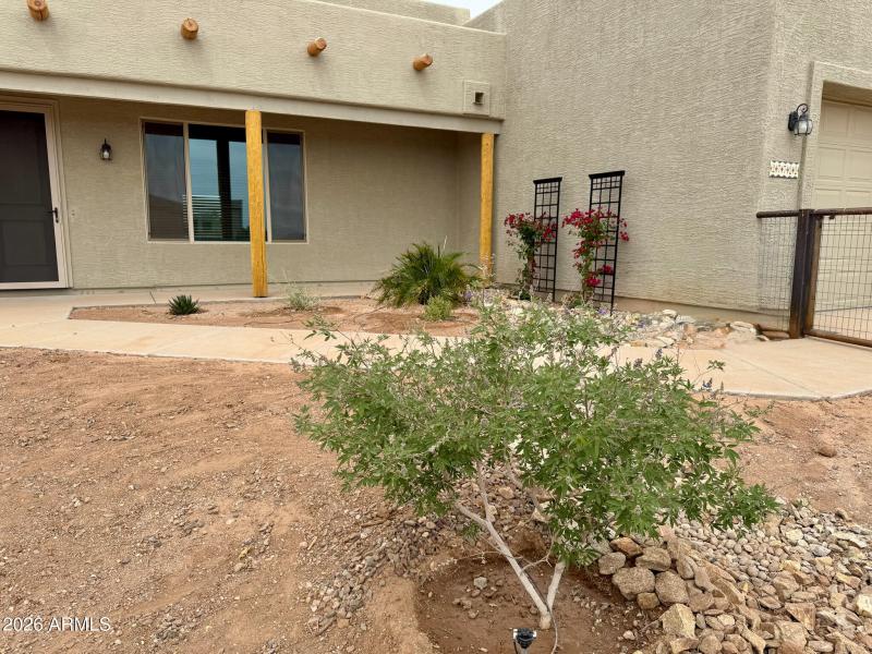 Front Landscaping