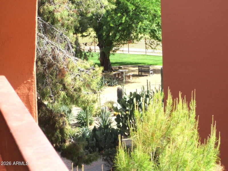 11 419 PEEKING THRU TREES TO CACTUS GARD
