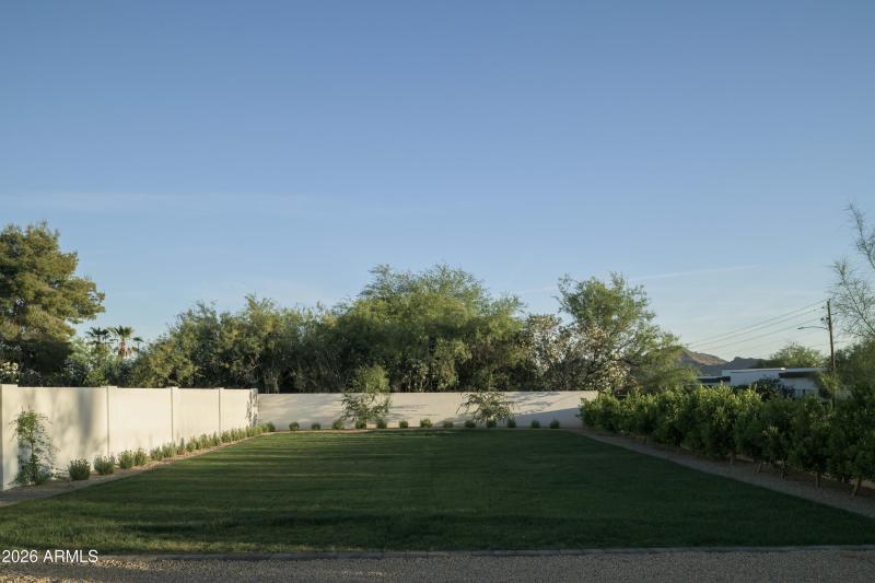 Backyard
