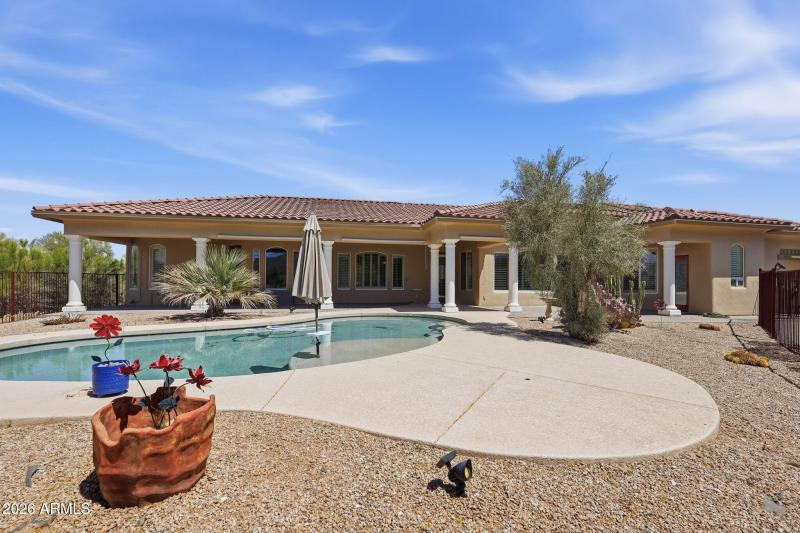 Backyard Oasis