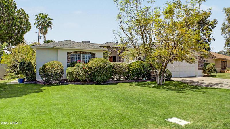 Lush Green Front Yard