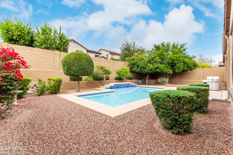 Large Back Yard Space