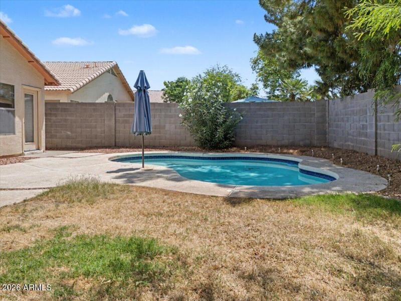 42-Back Patio & Pool