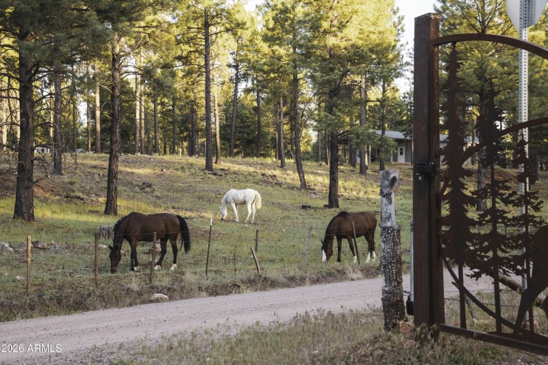 Gated Entrance