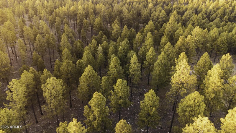 DJI_0746