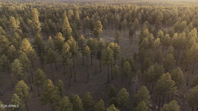 DJI_0755