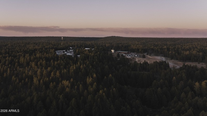 Endless Skyline & Forest