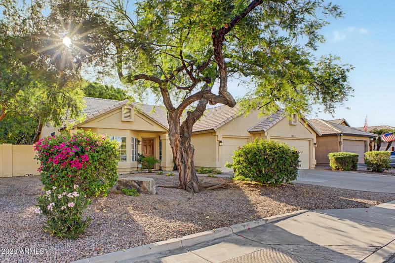 02- 2466 S Revolta, Mesa 85209