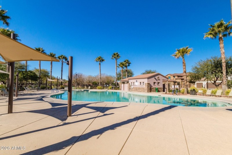 Desert Oasis Community Pool