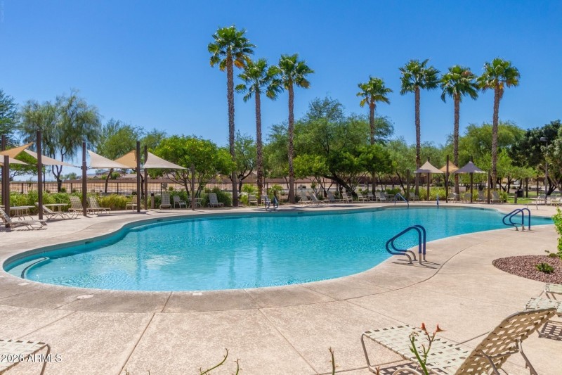 Desert Oasis Community Pool