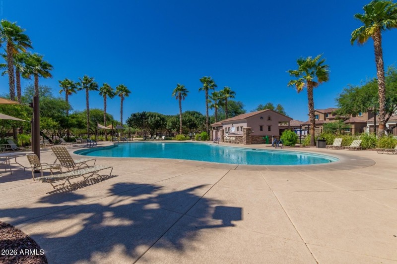 Desert Oasis Community Pool