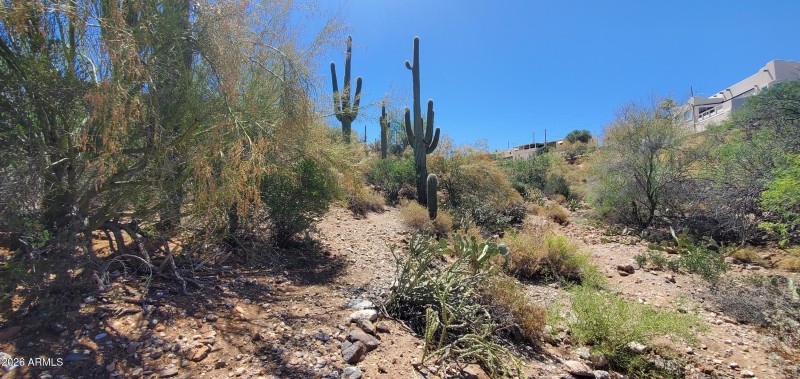 31 - Queen Creek