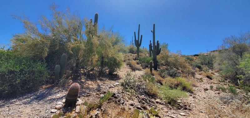 32 - Queen Creek