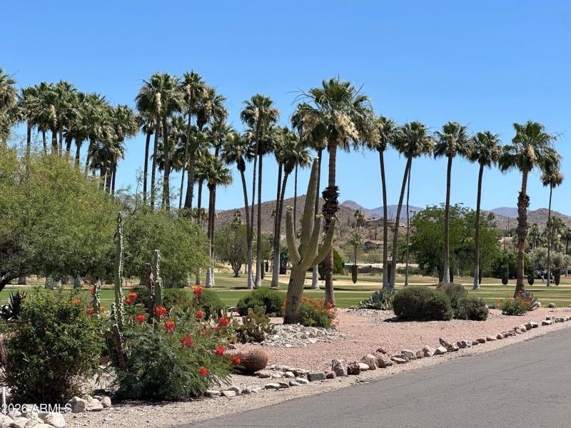 36 - Queen Creek