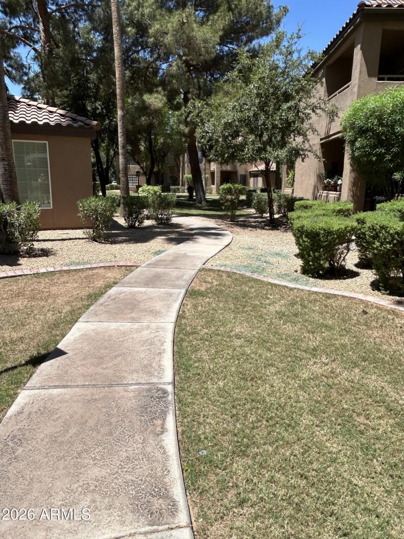 Community Walking Paths