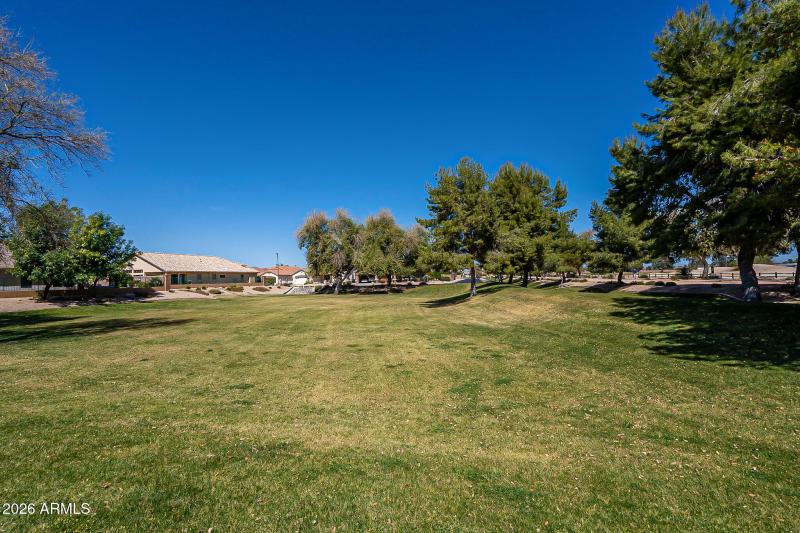 Common Green Space