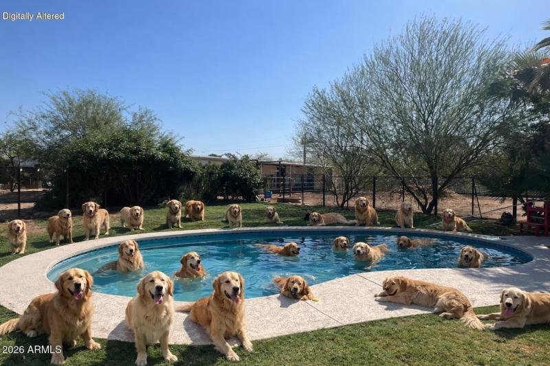 The pool!