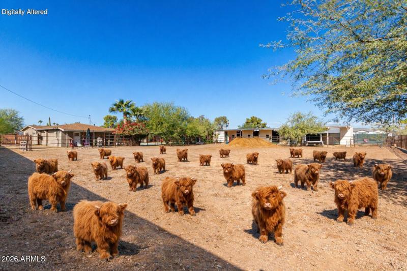 The huge lot has a horse or animal arena