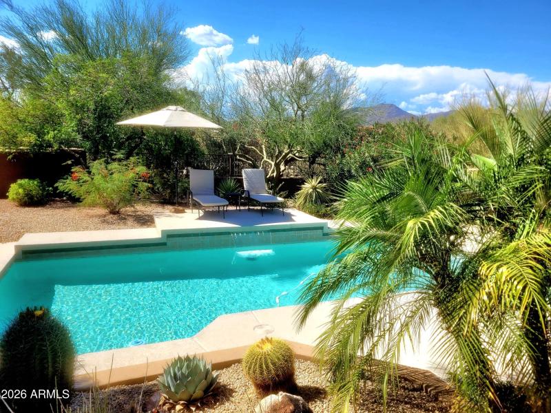 Lush backyard pool
